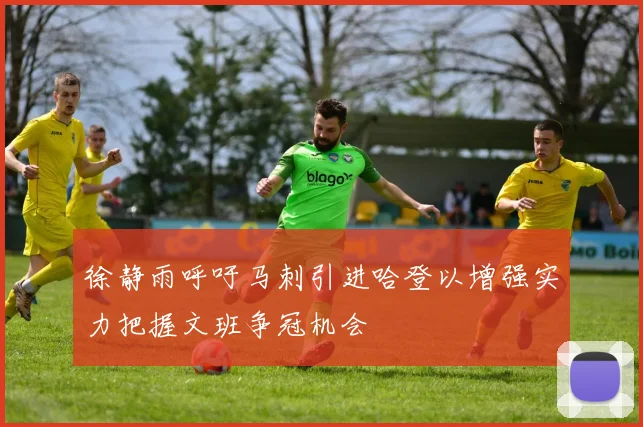 徐静雨呼吁马刺引进哈登以增强实力把握文班争冠机会